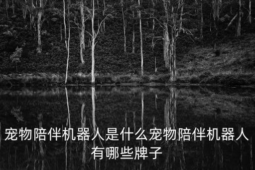寵物陪伴機(jī)器人是什么寵物陪伴機(jī)器人有哪些牌子