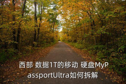  西部 數(shù)據(jù)1T的移動(dòng) 硬盤(pán)MyPassportUltra如何拆解