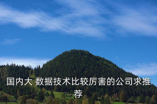 國內(nèi)大 數(shù)據(jù)技術(shù)比較厲害的公司求推薦