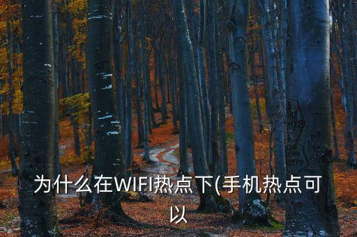 為什么在WIFI熱點(diǎn)下(手機(jī)熱點(diǎn)可以