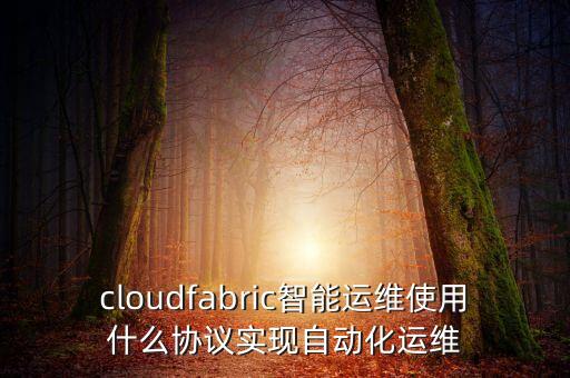 cloudfabric智能運(yùn)維使用什么協(xié)議實(shí)現(xiàn)自動(dòng)化運(yùn)維