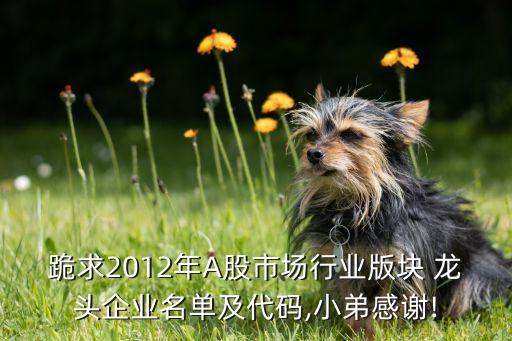 自動(dòng)化設(shè)備出口龍頭,光伏組件自動(dòng)化設(shè)備龍頭