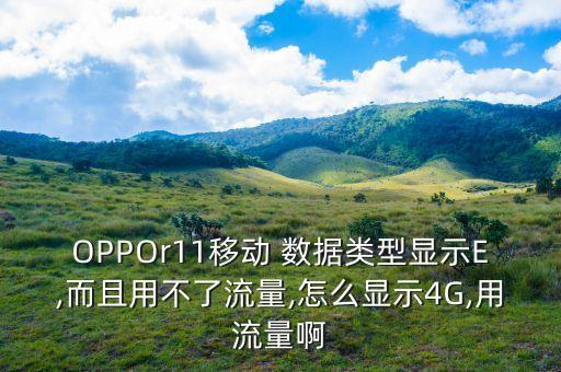 OPPOr11移動 數(shù)據(jù)類型顯示E,而且用不了流量,怎么顯示4G,用流量啊