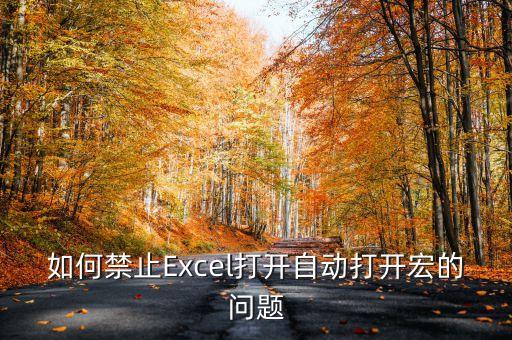 如何禁止Excel打開自動打開宏的問題
