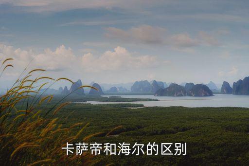 海爾高端品牌,海爾旗下子品牌1、卡薩帝冰箱定位中高端品牌