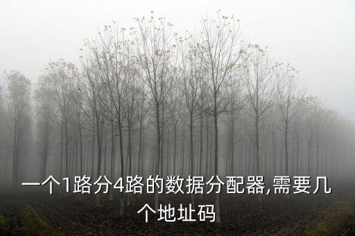 四幅路數(shù)據(jù),四大數(shù)據(jù)分配器名單