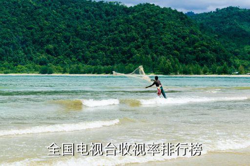 全國電視臺收視率排行榜