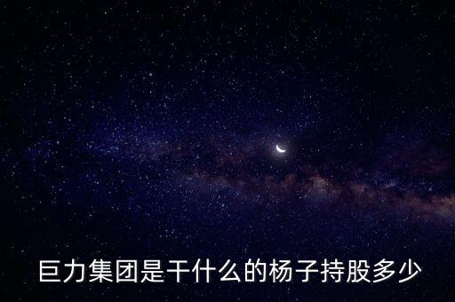  巨力集團是干什么的楊子持股多少