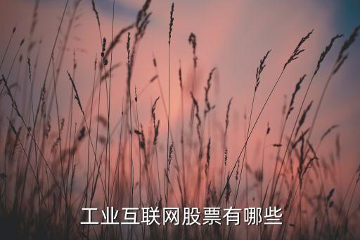  工業(yè)互聯(lián)網(wǎng)股票有哪些