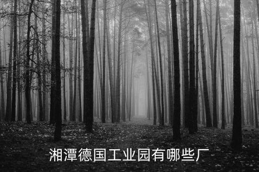 湘潭德國(guó)工業(yè)園有哪些廠