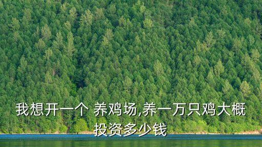 我想開(kāi)一個(gè) 養(yǎng)雞場(chǎng),養(yǎng)一萬(wàn)只雞大概投資多少錢(qián)