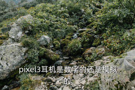  pixel3耳機是數(shù)字的還是模擬的