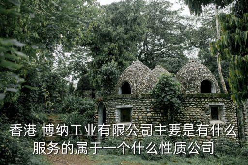 香港 博納工業(yè)有限公司主要是有什么服務的屬于一個什么性質公司