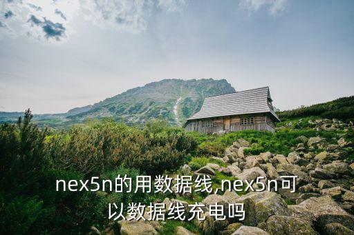 索尼nex5n的用數(shù)據(jù)線,nex5n可以數(shù)據(jù)線充電嗎
