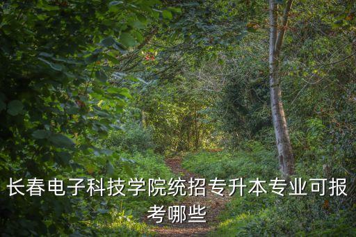 長春電子科技學(xué)院統(tǒng)招專升本專業(yè)可報考哪些