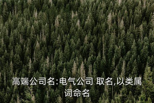 自動化設(shè)備怎么取名,csgo自動化取名