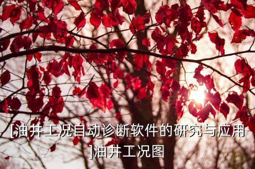 [油井工況自動診斷軟件的研究與應用]油井工況圖