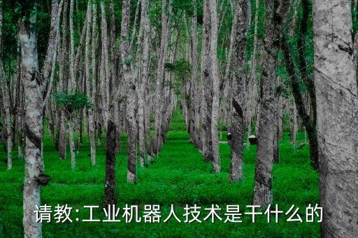 請教:工業(yè)機(jī)器人技術(shù)是干什么的