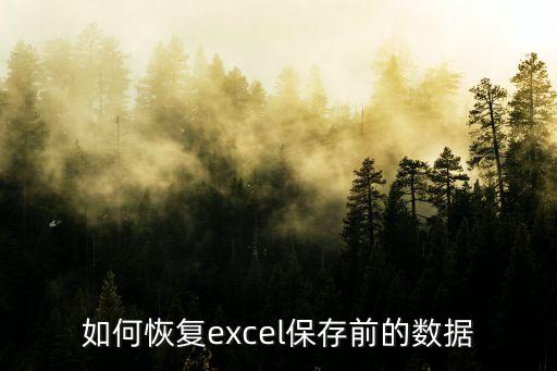 如何恢復excel保存前的數(shù)據(jù)