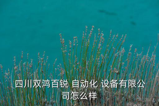  四川雙鴻百銳 自動化 設備有限公司怎么樣
