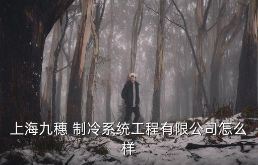 上海九穗 制冷系統(tǒng)工程有限公司怎么樣