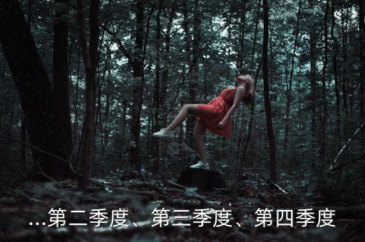...第二季度、第三季度、第四季度