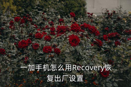  一加手機(jī)怎么用Recovery恢復(fù)出廠設(shè)置