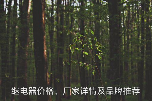 繼電器價(jià)格、廠家詳情及品牌推薦