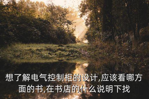 臨湘自動化電氣控制柜,想了解電氣控制柜設(shè)計嗎?
