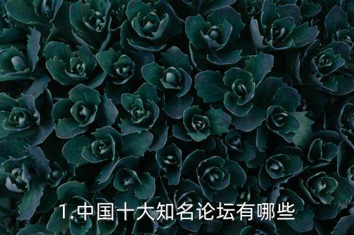 1.中國(guó)十大知名論壇有哪些