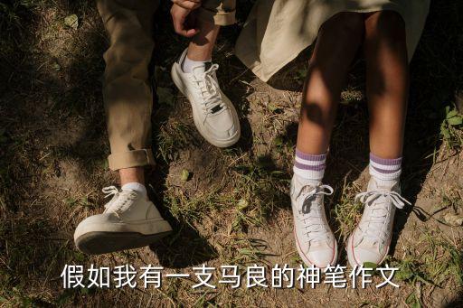 假如我有一支馬良的神筆作文
