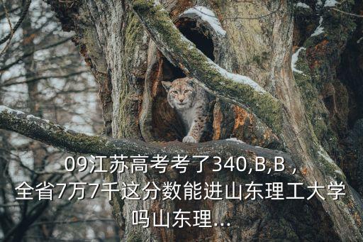 09江蘇高考考了340,B,B ,全省7萬(wàn)7千這分?jǐn)?shù)能進(jìn)山東理工大學(xué)嗎山東理...