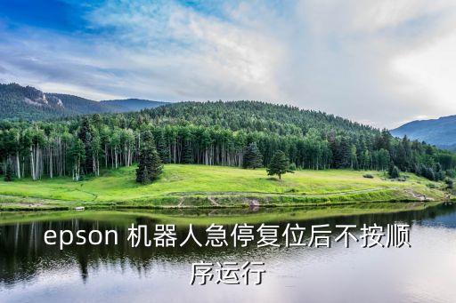 epson 機器人急停復(fù)位后不按順序運行