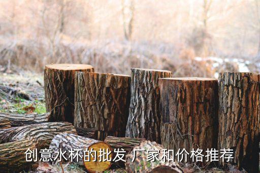 創(chuàng)意水杯的批發(fā) 廠家和價格推薦