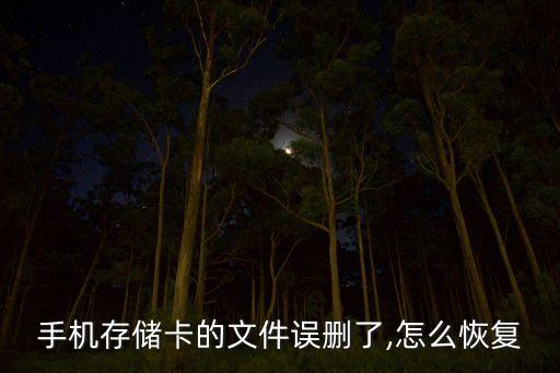 保存內存數(shù)據恢復,手機內存卡數(shù)據怎么恢復?