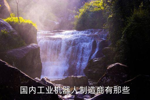 國內(nèi)工業(yè)機器人制造商有那些