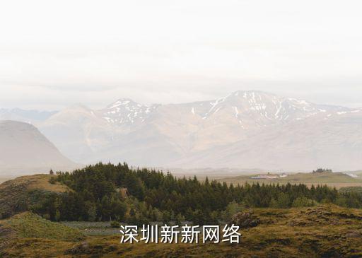 深圳新新網(wǎng)絡