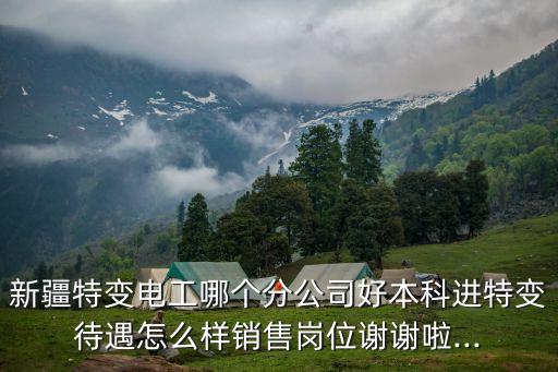 新疆自動(dòng)化最好的公司,新疆特變電工哪個(gè)分公司好?