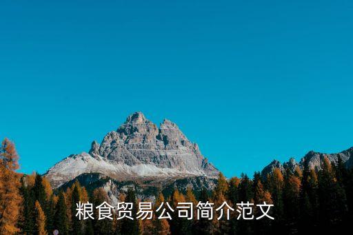 糧食貿(mào)易公司簡(jiǎn)介范文