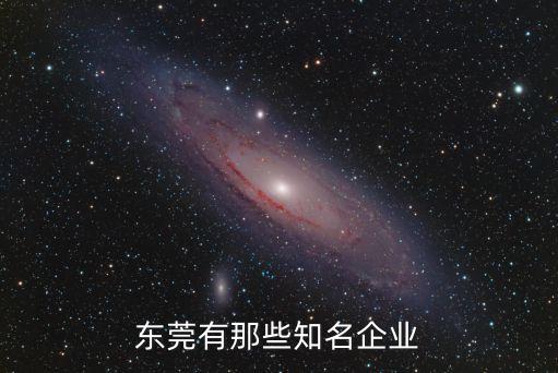 東莞有那些知名企業(yè)