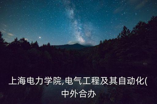 自動(dòng)化專業(yè)中外合作專業(yè),中外合作辦學(xué)專業(yè)介紹什么是天坑?
