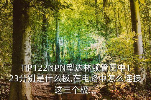 TIP122NPN型達(dá)林頓管圖中123分別是什么極,在電路中怎么連接這三個(gè)極...