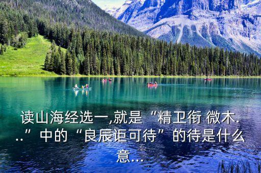 微木,精衛(wèi)銜微木讀《山海經(jīng)》