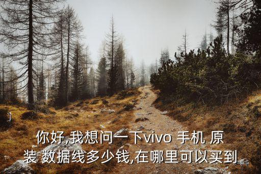 你好,我想問(wèn)一下vivo 手機(jī) 原裝 數(shù)據(jù)線多少錢,在哪里可以買到