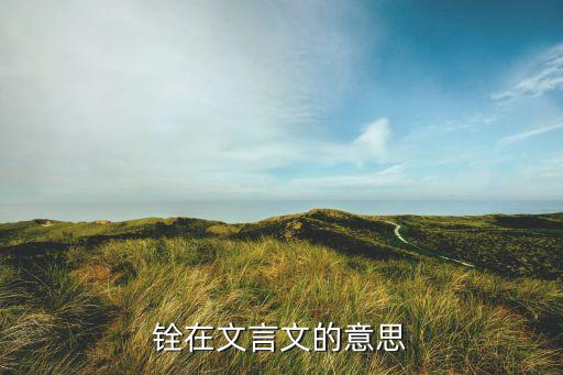 銓實自動化公司,不僅要立德武漢巡撫還要做什么?