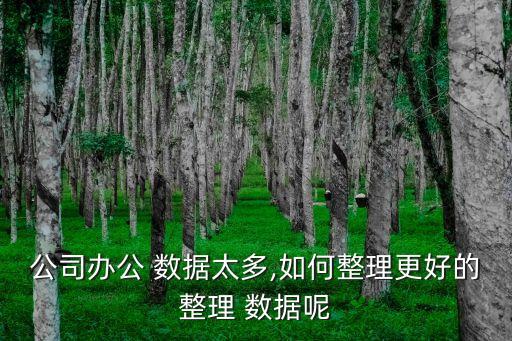 公司辦公 數(shù)據(jù)太多,如何整理更好的整理 數(shù)據(jù)呢