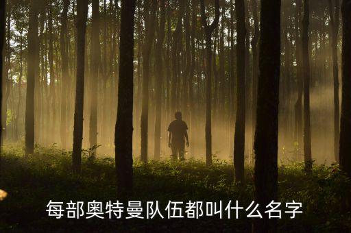 每部奧特曼隊伍都叫什么名字