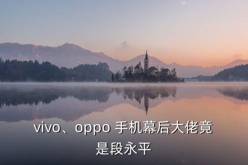 vivo、oppo 手機(jī)幕后大佬竟是段永平
