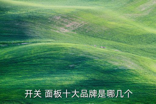  開關(guān) 面板十大品牌是哪幾個