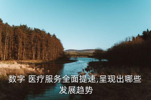 數(shù)字 醫(yī)療服務(wù)全面提速,呈現(xiàn)出哪些 發(fā)展趨勢(shì)